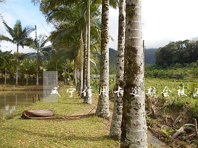 咸宁信用卡逾期会被冻结吗 咸宁信用卡逾期会被冻结吗