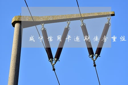 咸宁信用卡逾期债务重组怎么协商 咸宁信用卡逾期债务重组怎么协商