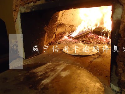 咸宁信用卡逾期停息分期申请条件 咸宁信用卡逾期停息分期申请条件
