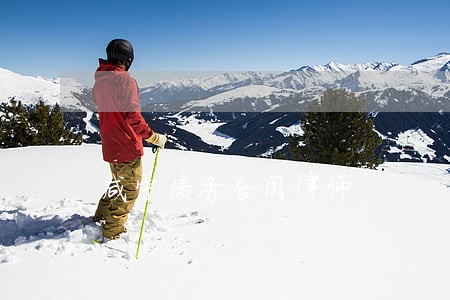 咸宁债务合同律师 咸宁债务合同律师