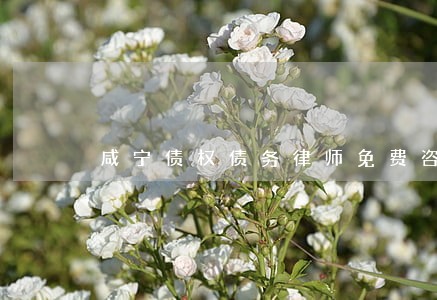 咸宁债权债务律师免费咨询电话 咸宁债权债务律师免费咨询电话