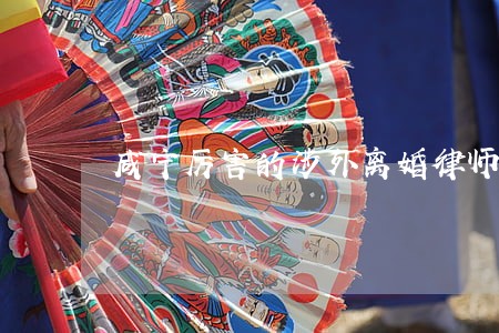 咸宁厉害的涉外离婚律师
