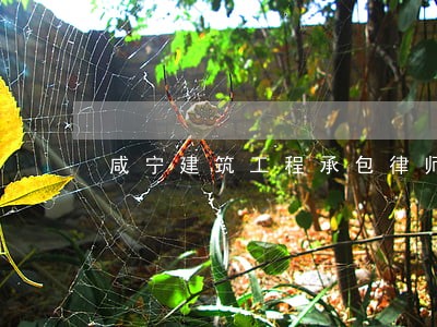 咸宁建筑工程承包律师 咸宁建筑工程承包律师