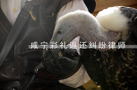 咸宁彩礼返还纠纷律师 咸宁彩礼返还纠纷律师