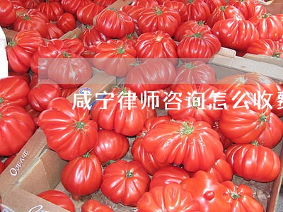 咸宁律师咨询怎么收费 咸宁律师咨询怎么收费
