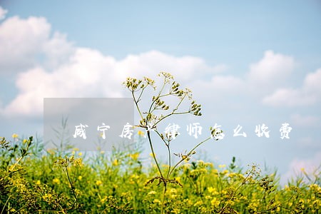 咸宁房产律师怎么收费 咸宁房产律师怎么收费