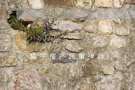 咸宁房产民事律师 咸宁房产民事律师