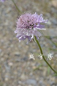 咸宁房产纠纷律师哪个好 咸宁房产纠纷律师哪个好