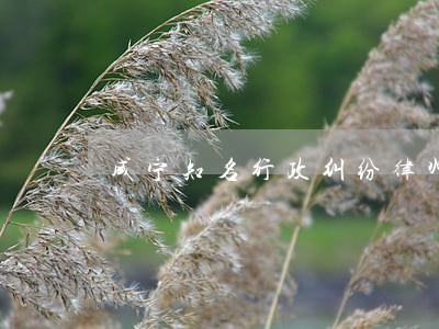 咸宁知名行政纠纷律师哪个好 咸宁知名行政纠纷律师哪个好
