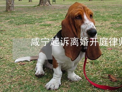 咸宁起诉离婚开庭律师收费标准 咸宁起诉离婚开庭律师收费标准