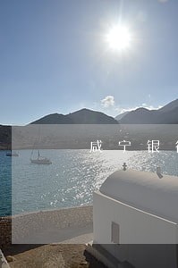 咸宁银行信用卡逾期