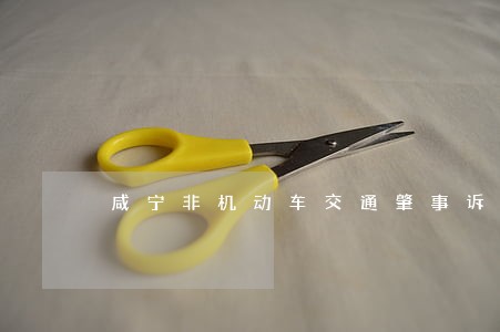 咸宁非机动车交通肇事诉讼流程