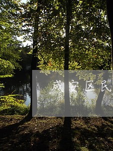 咸安区民间借贷在线律师 咸安区民间借贷在线律师