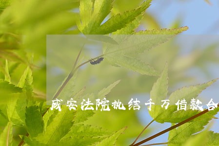 咸安法院执结千万借款合同纠纷案 咸安法院执结千万借款合同纠纷案