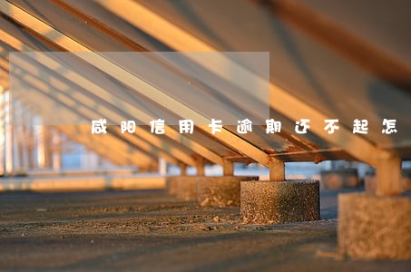 咸阳信用卡逾期还不起怎么办 咸阳信用卡逾期还不起怎么办