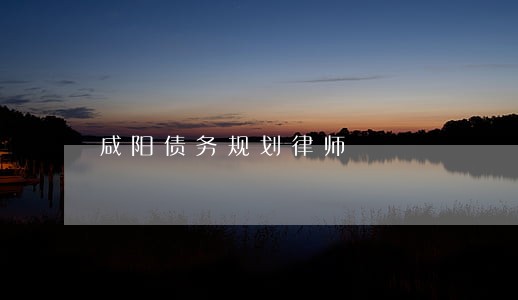 咸阳债务规划律师 咸阳债务规划律师