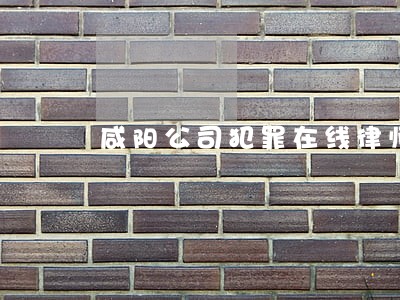 咸阳公司犯罪在线律师 咸阳公司犯罪在线律师