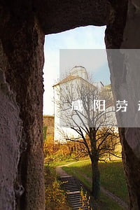 咸阳劳动仲裁在线咨询 咸阳劳动仲裁在线咨询