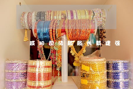 咸阳司法局局长戴建强 咸阳司法局局长戴建强