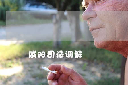 咸阳司法调解 咸阳司法调解