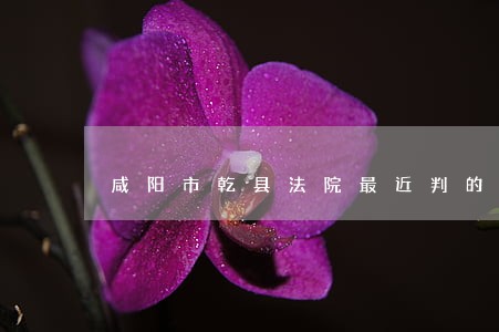 咸阳市乾县法院最近判的毒品案