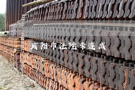 咸阳市法院李遂成