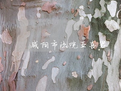 咸阳市法院王喜君 咸阳市法院王喜君