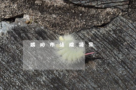 咸阳市法院领导