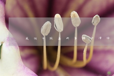 咸阳市贩毒刑事辩护律师哪家专业 咸阳市贩毒刑事辩护律师哪家专业