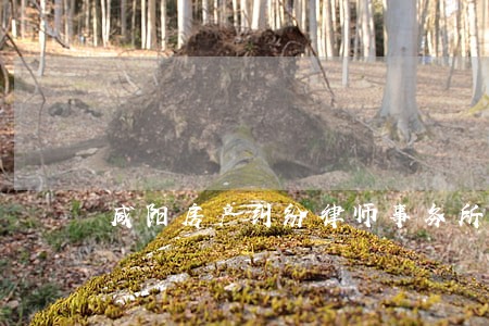 咸阳房产纠纷律师事务所 咸阳房产纠纷律师事务所