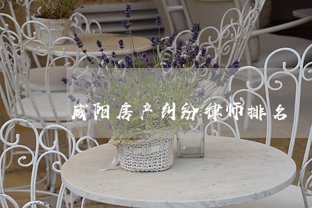 咸阳房产纠纷律师排名