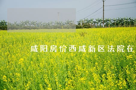 咸阳房价西咸新区法院在哪里