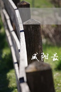 咸阳最好的离婚律师 咸阳最好的离婚律师