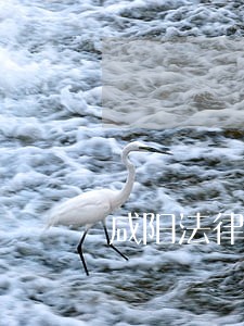 咸阳法律顾问免费咨询 咸阳法律顾问免费咨询