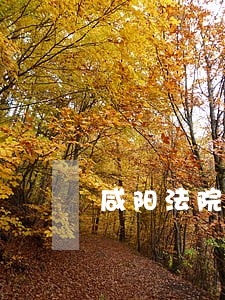 咸阳法院公告报 咸阳法院公告报