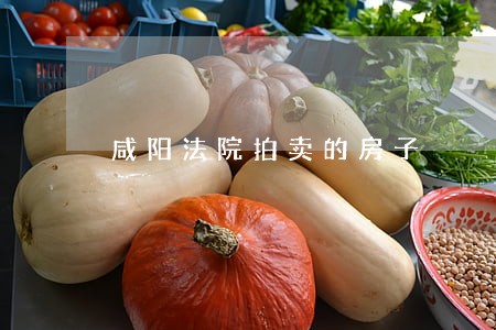 咸阳法院拍卖的房子
