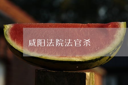 咸阳法院法官杀 咸阳法院法官杀