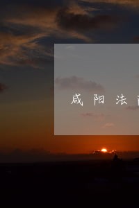 咸阳法院王中文