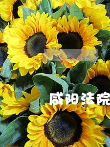 咸阳法院聘用书记员待遇 咸阳法院聘用书记员待遇