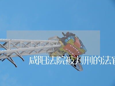 咸阳法院被判刑的法官