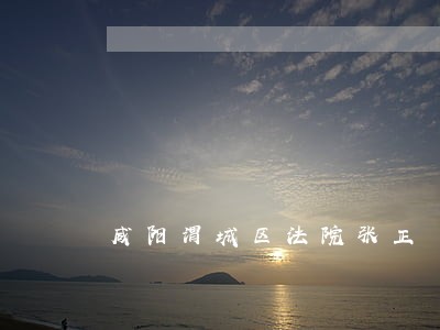 咸阳渭城区法院张正