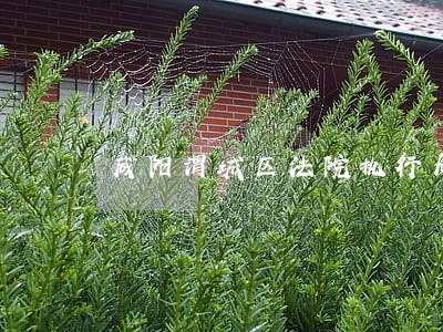 咸阳渭城区法院执行局电话