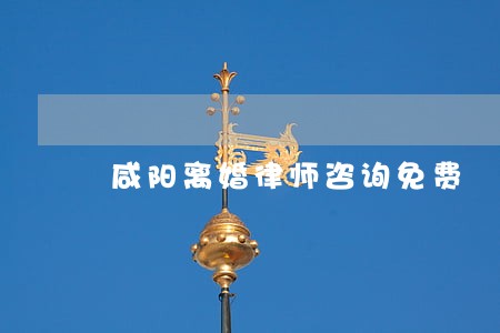 咸阳离婚律师咨询免费