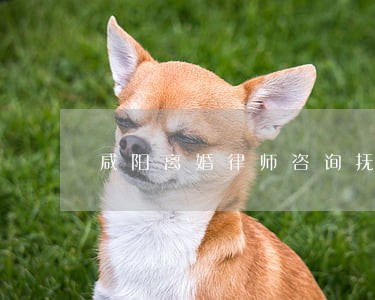咸阳离婚律师咨询抚养权 咸阳离婚律师咨询抚养权