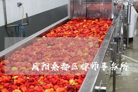 咸阳秦都区律师事务所 咸阳秦都区律师事务所