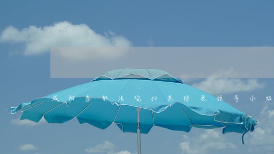 咸阳秦都法院扫黑除恶领导小组 咸阳秦都法院扫黑除恶领导小组