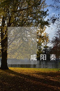 咸阳秦都法院立案后多久开庭 咸阳秦都法院立案后多久开庭