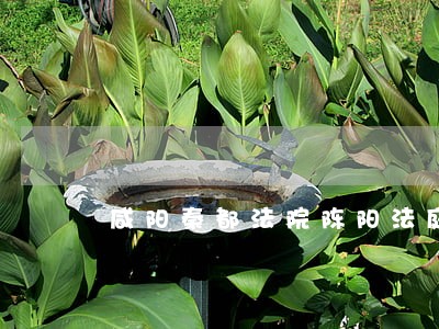 咸阳秦都法院陈阳法庭