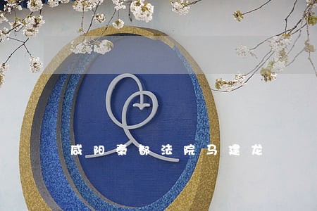 咸阳秦都法院马建龙