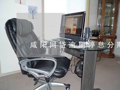咸阳网贷逾期停息分期怎么协商